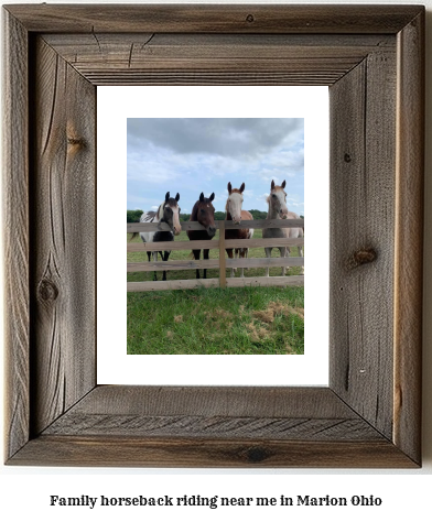 family horseback riding near me in Marion, Ohio